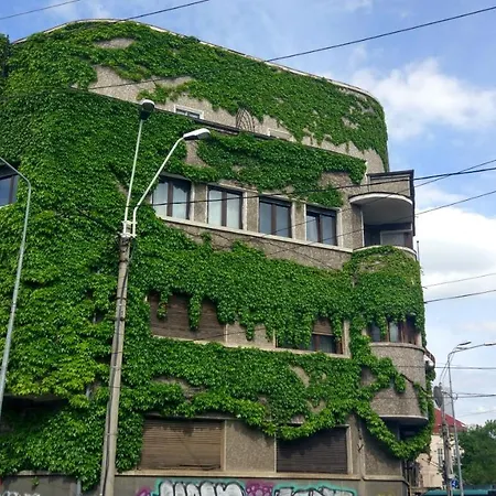 Central Green House 5